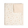 Coperta